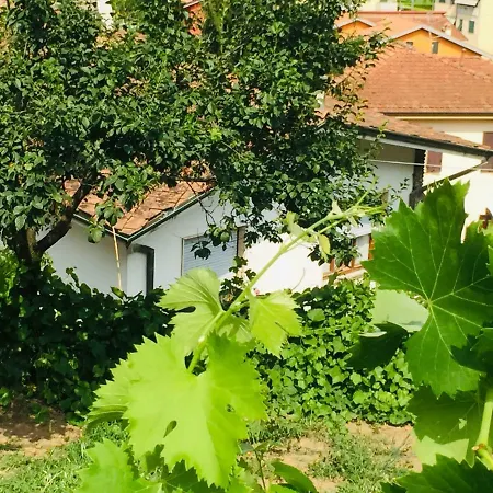 La Collina Di Albiro Affittacamere 게스트하우스 아르콜라