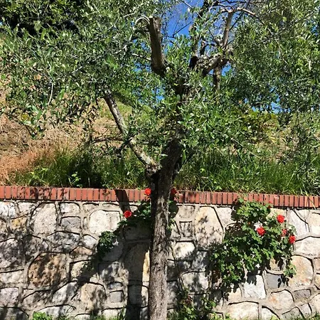 Πανσιόν La Collina Di Albiro Affittacamere