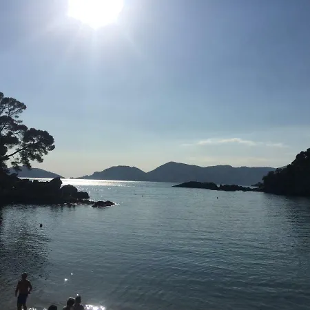 Πανσιόν La Collina Di Albiro Affittacamere Arcola