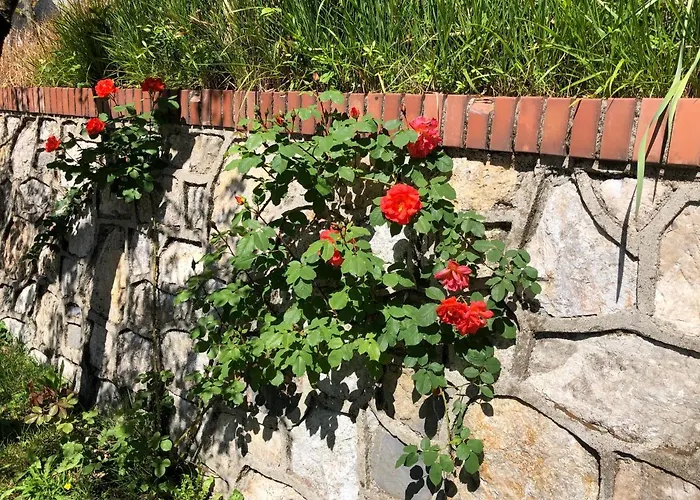 La Collina Di Albiro Affittacamere Arcola