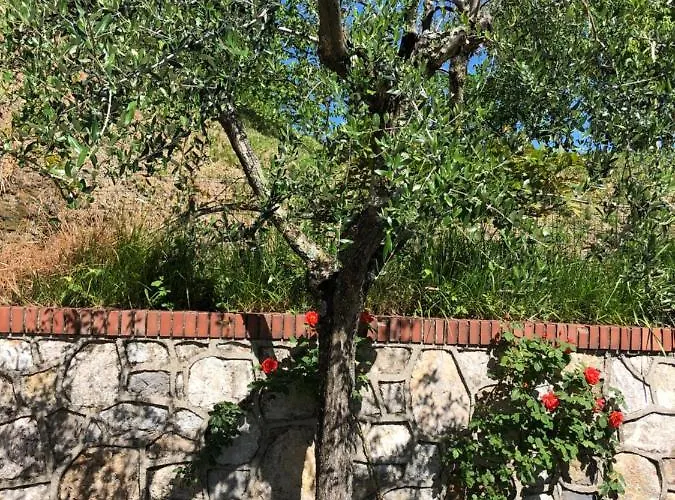 Pensión La Collina Di Albiro Affittacamere