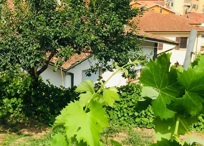 La Collina Di Albiro Affittacamere Pensión Arcola