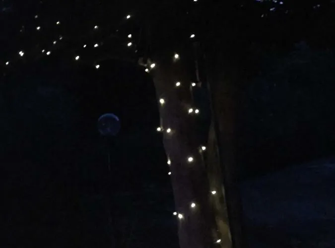 La Collina Di Albiro Affittacamere